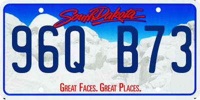 SD license plate 96QB73