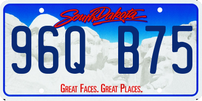 SD license plate 96QB75