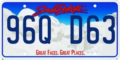 SD license plate 96QD63