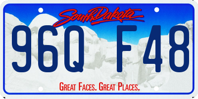 SD license plate 96QF48