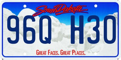 SD license plate 96QH30