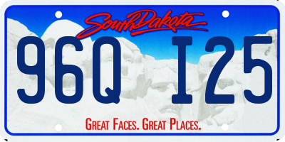 SD license plate 96QI25