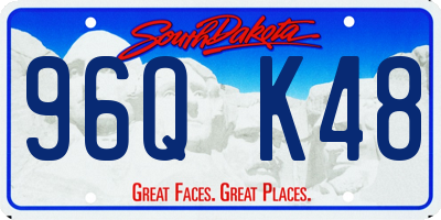 SD license plate 96QK48