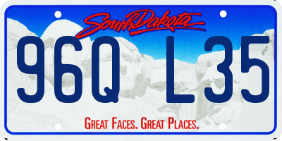 SD license plate 96QL35