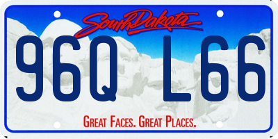 SD license plate 96QL66