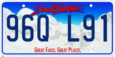 SD license plate 96QL91