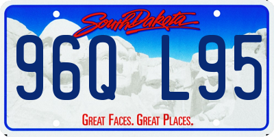 SD license plate 96QL95