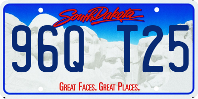 SD license plate 96QT25