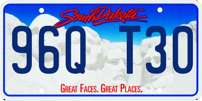 SD license plate 96QT30