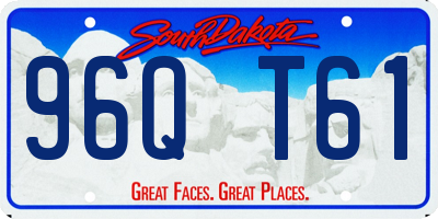 SD license plate 96QT61