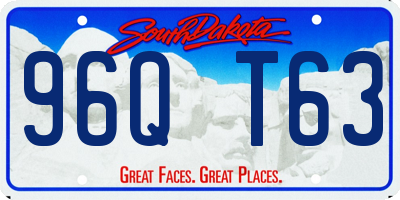 SD license plate 96QT63