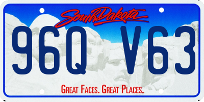 SD license plate 96QV63