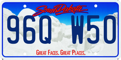 SD license plate 96QW50
