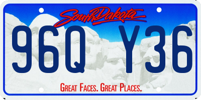 SD license plate 96QY36