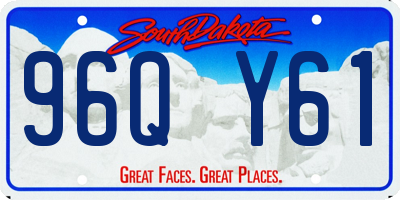 SD license plate 96QY61