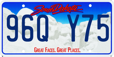 SD license plate 96QY75