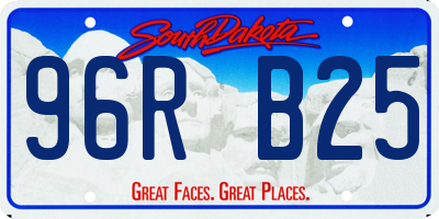 SD license plate 96RB25