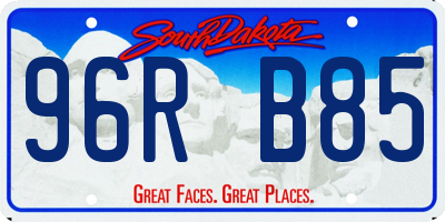 SD license plate 96RB85