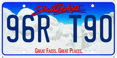 SD license plate 96RT90