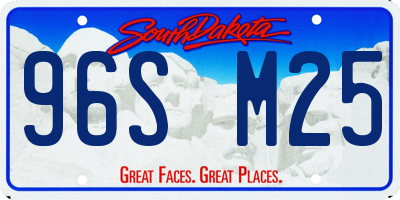 SD license plate 96SM25