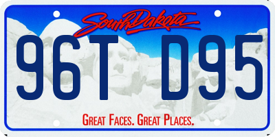 SD license plate 96TD95