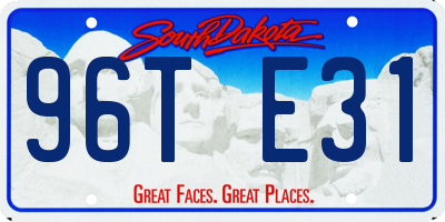 SD license plate 96TE31
