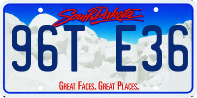 SD license plate 96TE36
