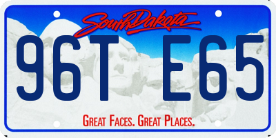 SD license plate 96TE65