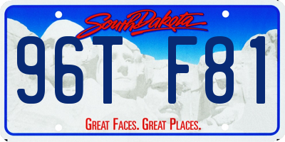 SD license plate 96TF81