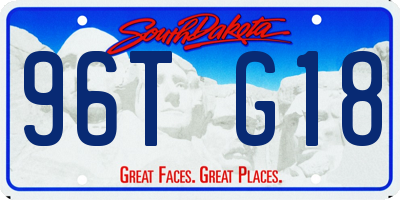 SD license plate 96TG18