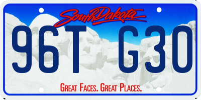 SD license plate 96TG30