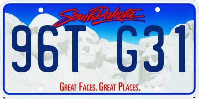 SD license plate 96TG31