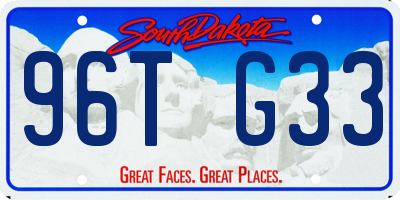 SD license plate 96TG33