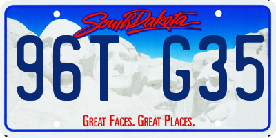 SD license plate 96TG35