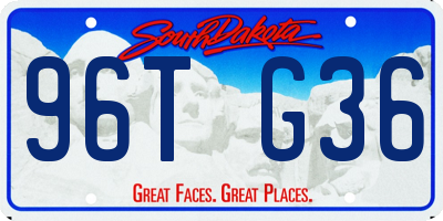 SD license plate 96TG36