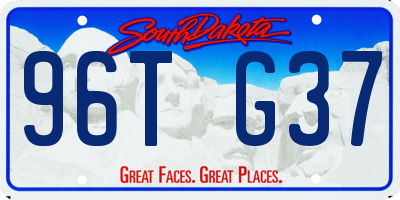 SD license plate 96TG37