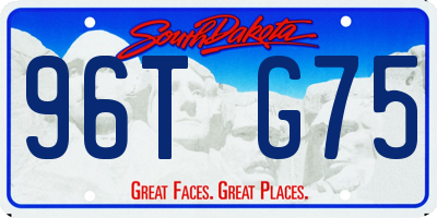SD license plate 96TG75