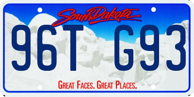 SD license plate 96TG93