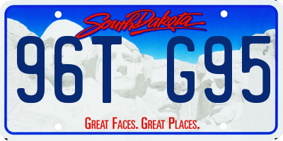 SD license plate 96TG95