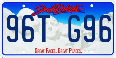SD license plate 96TG96