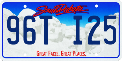 SD license plate 96TI25