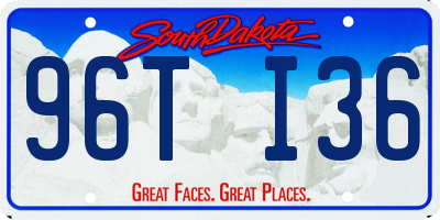 SD license plate 96TI36
