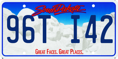 SD license plate 96TI42