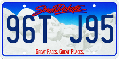SD license plate 96TJ95