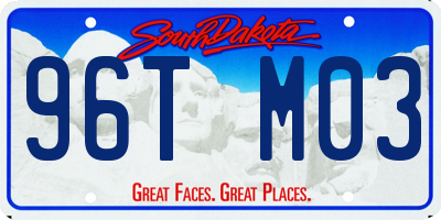 SD license plate 96TM03