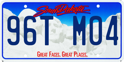SD license plate 96TM04