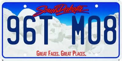 SD license plate 96TM08