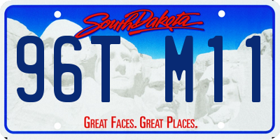 SD license plate 96TM11