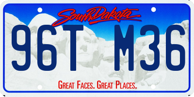 SD license plate 96TM36