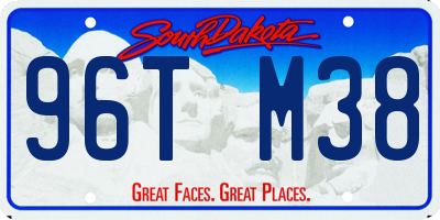 SD license plate 96TM38